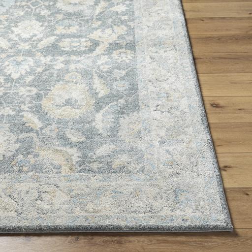 Surya Avellino AVL-2305 2'7" x 7'3" Rug