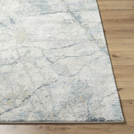 Surya Avellino AVL-2307 2' x 2'11" Rug