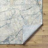 Surya Avellino AVL-2307 2'7" x 7'3" Rug