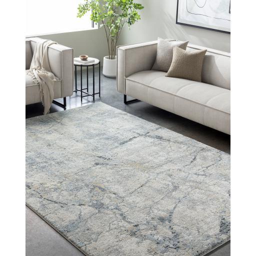 Surya Avellino AVL-2307 10' x 14' Rug