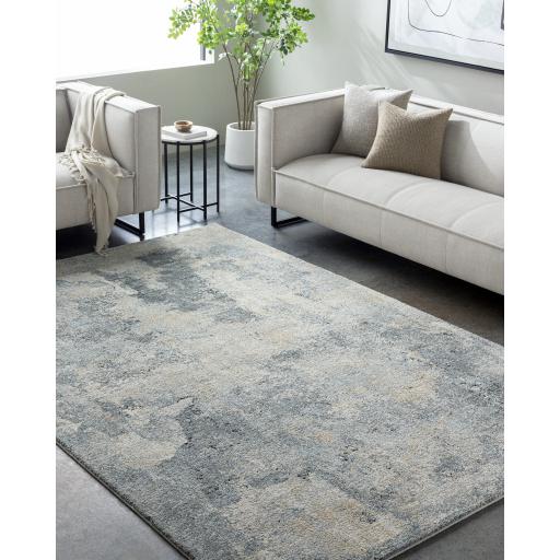 Surya Avellino AVL-2311 10' x 14' Rug