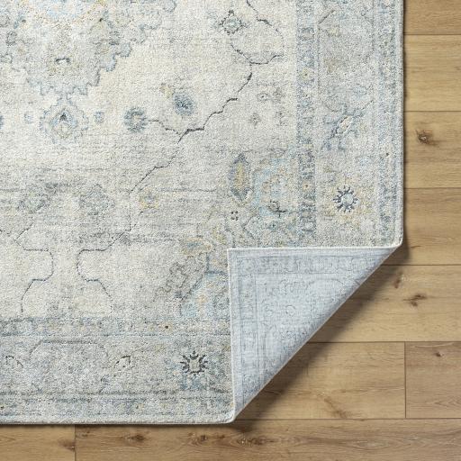 Surya Avellino AVL-2314 5'3" x 7' Rug