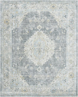 Surya Avellino AVL-2315 10' x 14' Rug