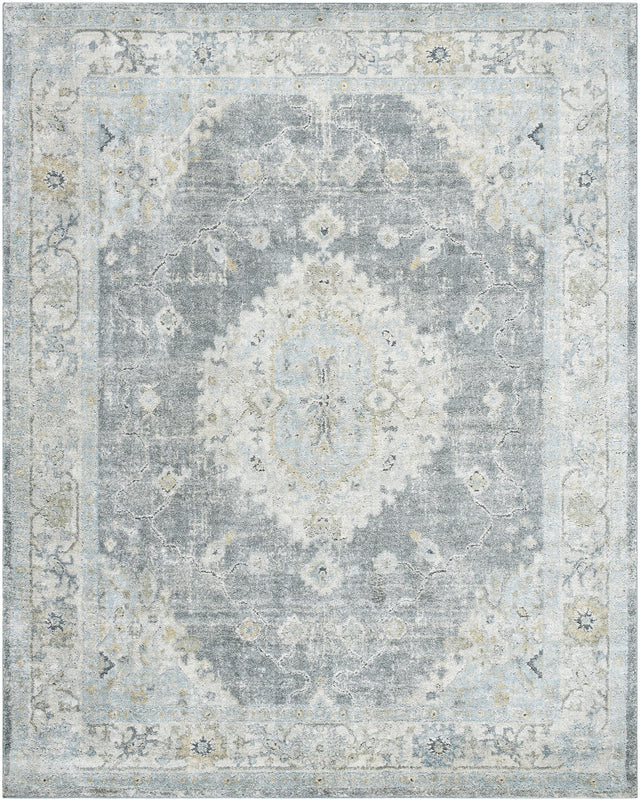 Surya Avellino AVL-2315 10' x 14' Rug