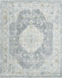 Surya Avellino AVL-2315 10' x 14' Rug