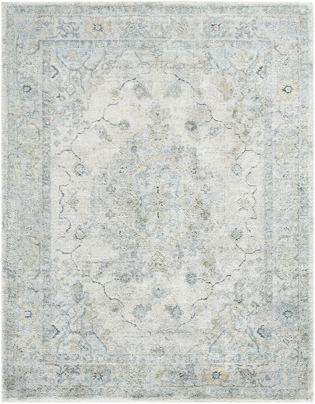 Surya Avellino AVL-2314 9'2" x 12' Rug