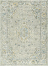 Surya Avellino AVL-2316 10' x 14' Rug