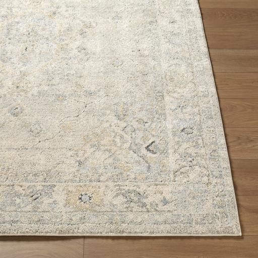 Surya Avellino AVL-2316 2'7" x 7'3" Rug
