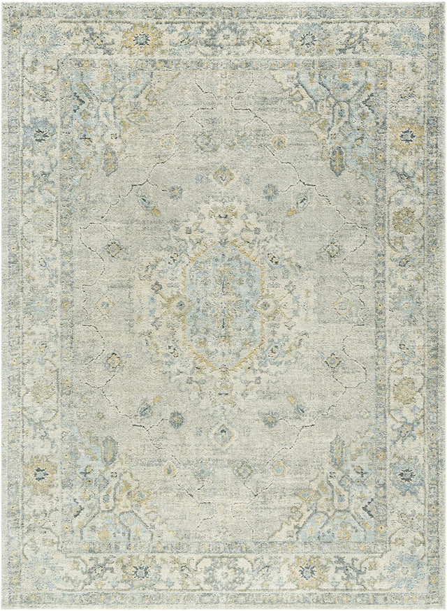 Surya Avellino AVL-2316 6'7" x 9'2" Rug