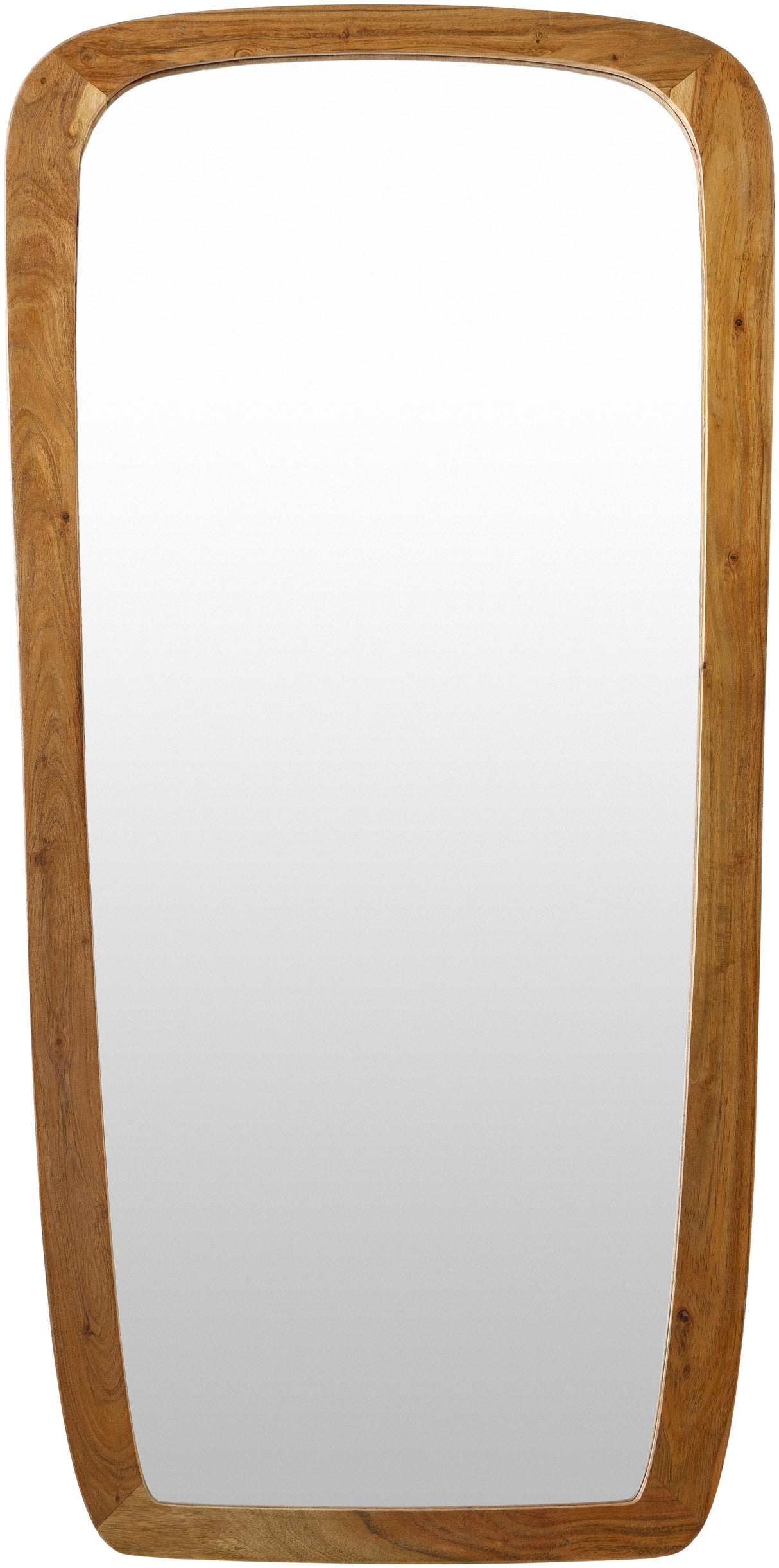 Surya Broome BBR-001 46"H x 24"W x 1"D Mirror