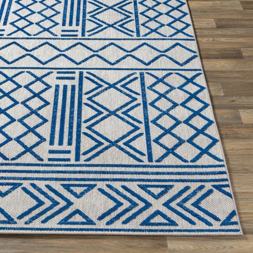 Surya Big Sur BSR-2315 2' x 3' Rug