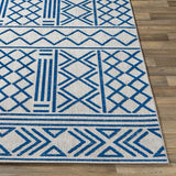 Surya Big Sur BSR-2315 2' x 3' Rug