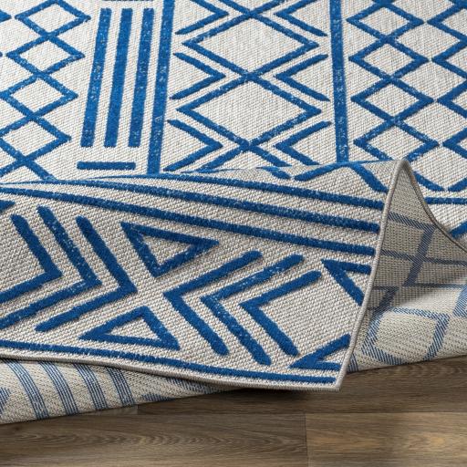 Surya Big Sur BSR-2315 2' x 3' Rug