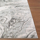 Livabliss Amman BTA-2301 5'3" x 7' Machine Woven Rug