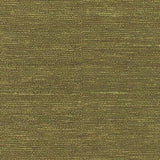 Surya Continental COT-1940 3'6" x 5'6" Rug