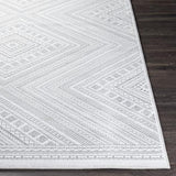 Surya Contempo CPO-3857 2' x 3' Rug