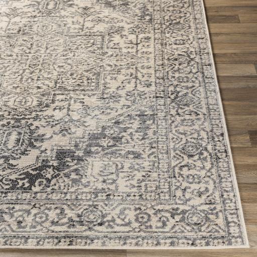 Surya City Light CYL-2313 Beige Black 5'3" x 7'3" Rug