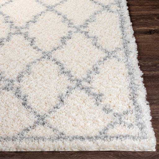 Surya Deluxe Shag DXS-2305 5'3" x 7'3" Rug