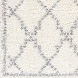Surya Deluxe Shag DXS-2305 5'3" x 7'3" Rug