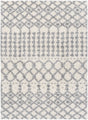 Surya Deluxe Shag DXS-2312 6'7" x 9' Rug