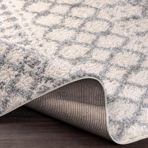 Surya Deluxe Shag DXS-2312 6'7" x 9' Rug