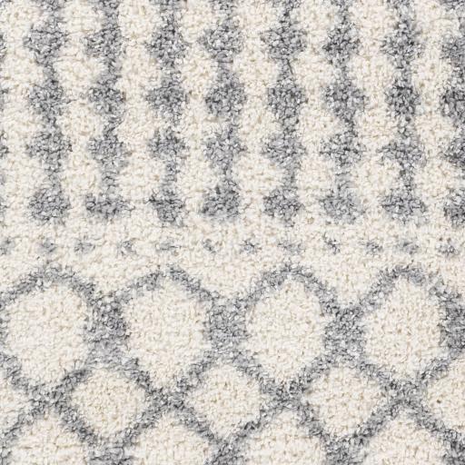 Surya Deluxe Shag DXS-2312 6'7" x 9' Rug