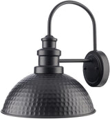 Surya Elfand EFD-001 13"L x 11"W x 14"H Wall Sconce
