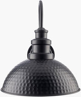 Livabliss Elfand EFD-001 13"L x 11"W x 14"H Wall Lighting