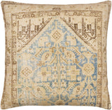 Surya Emily Jean EMJ-010 20"H x 20"W Pillow Cover