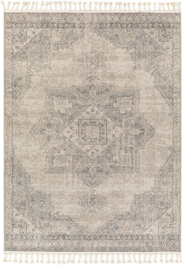 Surya Euphoria ERP-2317 2' x 3' Rug
