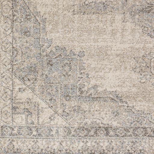 Surya Euphoria ERP-2317 2' x 3' Rug