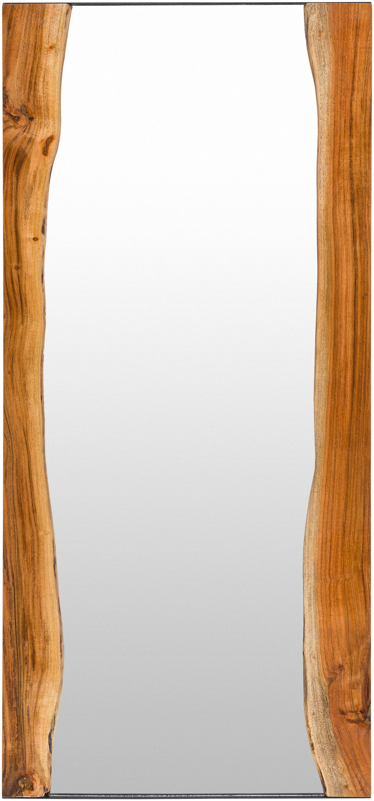 Surya Fujian FUJ-002 69"H x 31"W x 1"D Mirror