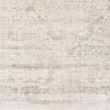 Surya Firenze FZE-2304 Charcoal Gray 31" x 46" Rug