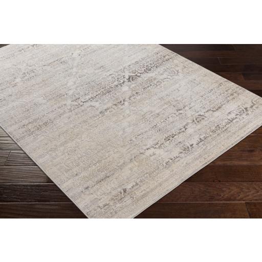 Surya Firenze FZE-2304 Charcoal Gray 31" x 46" Rug