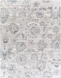 Surya Genesis GNS-2303 2' x 2'11" Rug