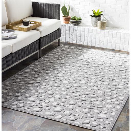 Surya Greenwich GWC-2312 2' x 2'11" Rug