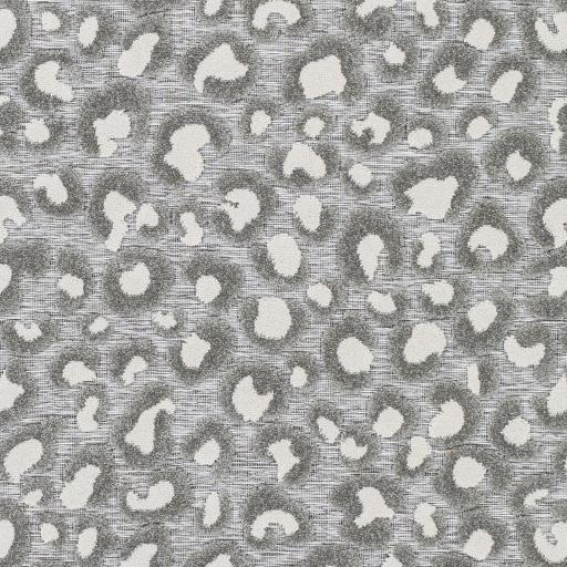Surya Greenwich GWC-2312 2' x 2'11" Rug