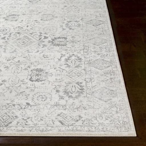 Surya Harput HAP-1091 2'7" x 7'3" Rug