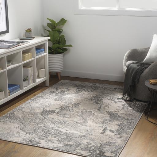 Surya Impulse IPS-2301 4'3" x 5'11" Rug