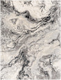 Surya Impulse IPS-2304 4'3" x 5'11" Rug