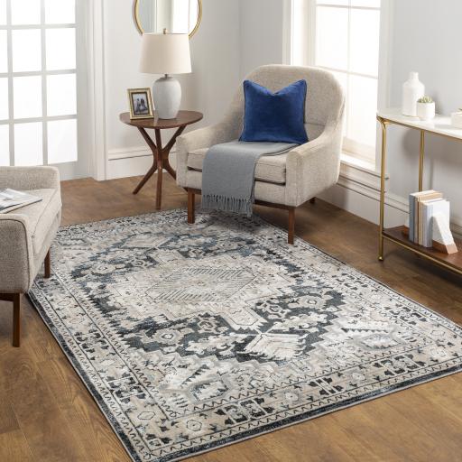Surya Impulse IPS-2308 2' x 3' Rug