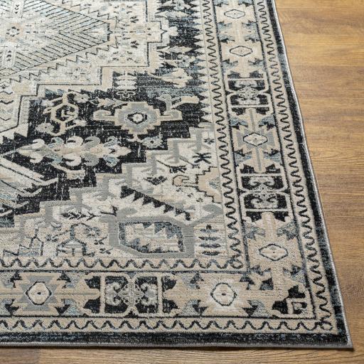 Surya Impulse IPS-2308 Black Cream 2' x 3' Rug