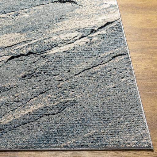 Surya Impulse IPS-2317 Black Cream 2' x 3' Rug