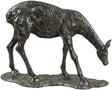 Surya Marins IRM-002 10"H x 12"W x 5"D Decorative Accent