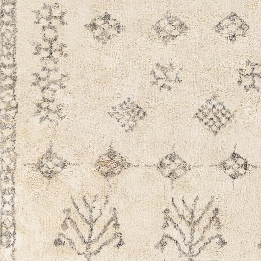 Surya Khemisset KMS-2308 2'6" x 4' Rug