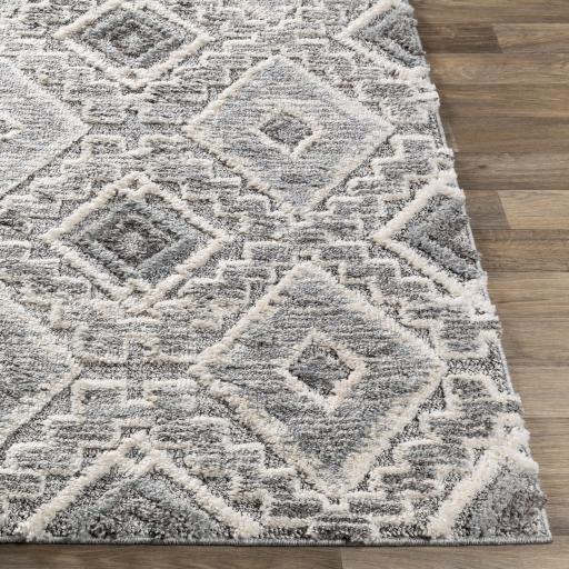 Surya La Maison LMS-2304 Beige Charcoal 5'3" x 7'3" Rug