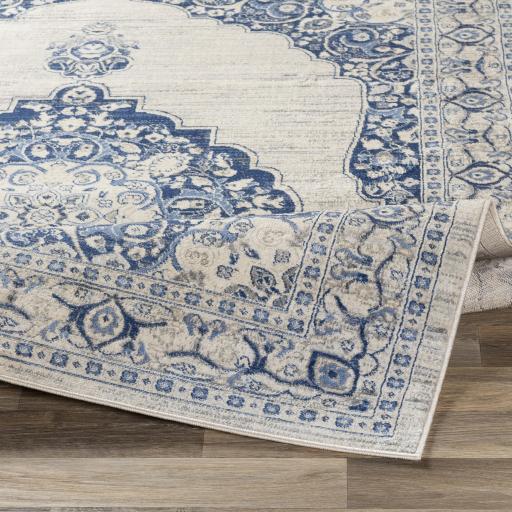 Surya Monaco MOC-2310 2'7" x 7'3" Rug