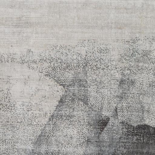 Surya Park Avenue PAV-2303 8'10" x 12' Rug
