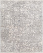 Livabliss Presidential PDT-2321 2' x 3'3" Machine Woven Rug