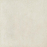 Surya Parma PMA-2301 2' x 3' Rug
